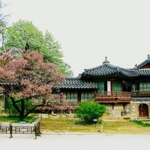 Meet your Posher, Haejung